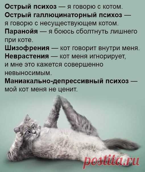 #несерьезное