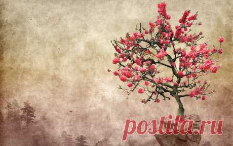 artwork_tree_wallpapers.jpg (2560×1600)