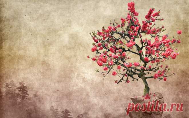 artwork_tree_wallpapers.jpg (2560×1600)