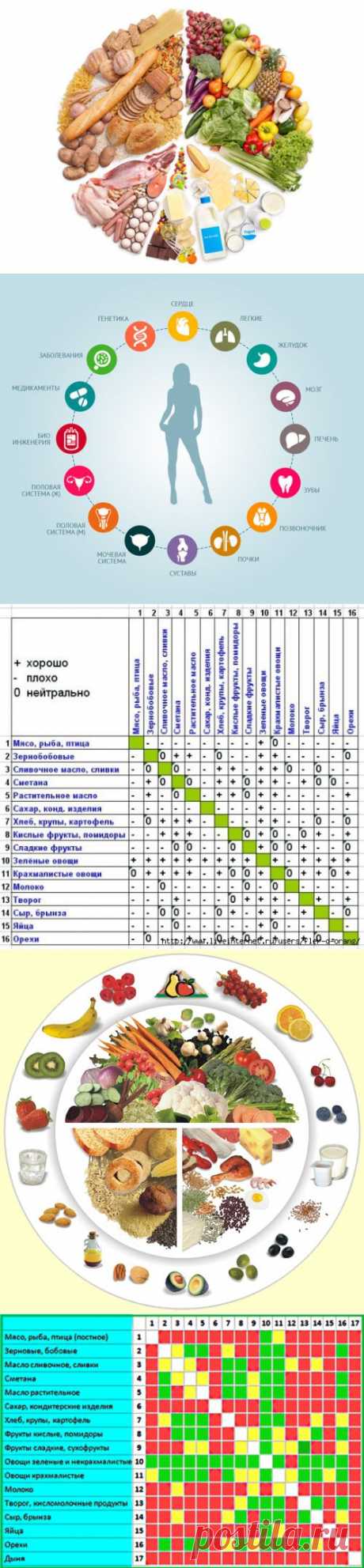 раздельное питание - Самое интересное в блогах