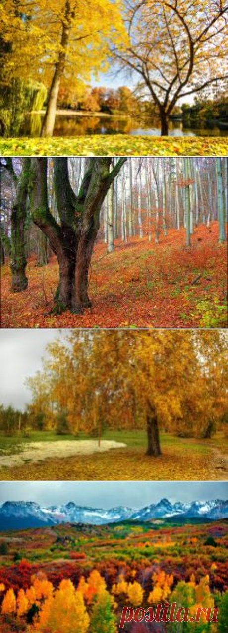 Осень обои (547 фото) скачать для рабочего стола - дате : 2