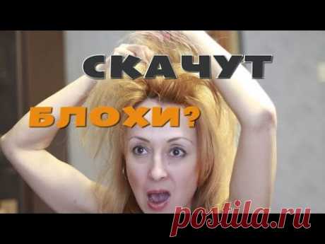 ВЛОГ/VLOG ПО МНЕ СКАЧУТ БЛОХИ?❀ СЪЕМКИ на 1 КАНАЛЕ❀НОВЫЙ ПИТОМЕЦ - YouTube