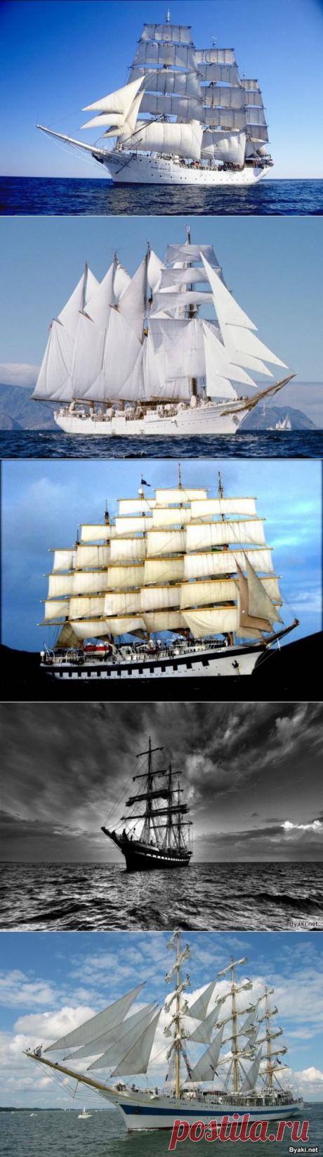 Современные парусники