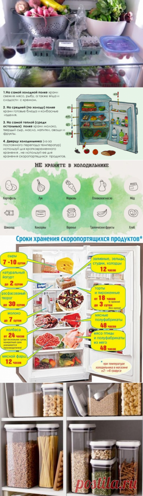 Как правильно хранить продукты: правила хранения в холодильнике, вакуумные контейнеры и емкости