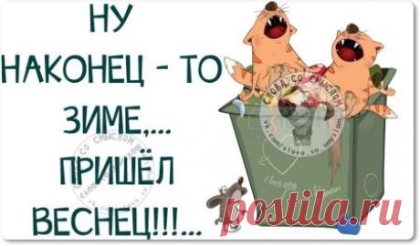 Самые меткие фразы