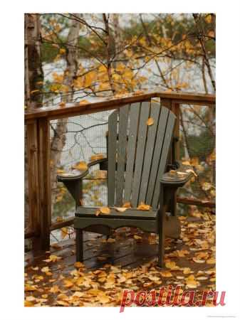 'Autumn Leaves on Chair by Lake, Ontario, Canada' Photographic Print - Keith Levit | Art.com