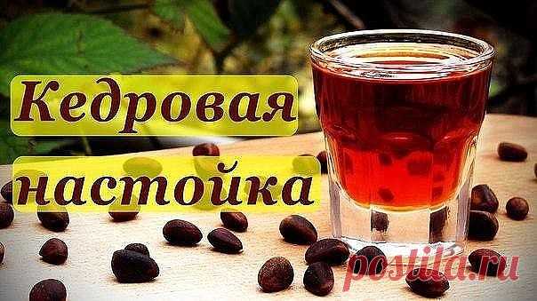 ЛЕЧЕБНАЯ КЕДРОВАЯ НАСТОЙКА!!!