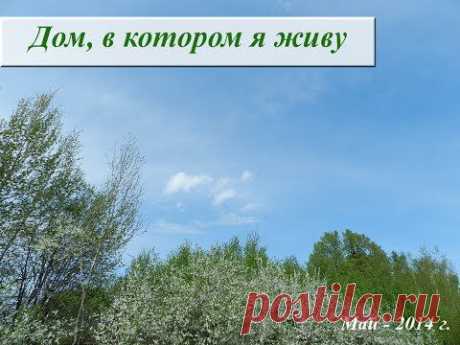 Природа средней полосы России, фото. Нижегородская область - YouTube