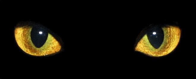 5.1.х:4,-513-, 13(статья 133 годалтарь  оргкомпронет - основание бога в организацию компании про нет информации) - (неполные факты-неполный год) (неудачные попытки создать организацию гд-хл - основание создания компании)
5.3.х:4-, 5.4(г-хл и г-лп-и-г)-, 5.5.х:8-, 5.6.х:8,-9- (начало года-начало создания) - (полученные достижения за год - получение всех титулов)
5.4.х:5,-6.7- (конец года - конец года)
5.4.х:6- (начало года - начало года) -
5.5.(начало года - основание корпорации)