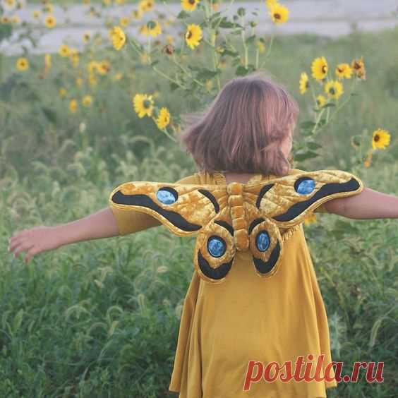Бабочка, бабочка, бабочка моя (подборка)