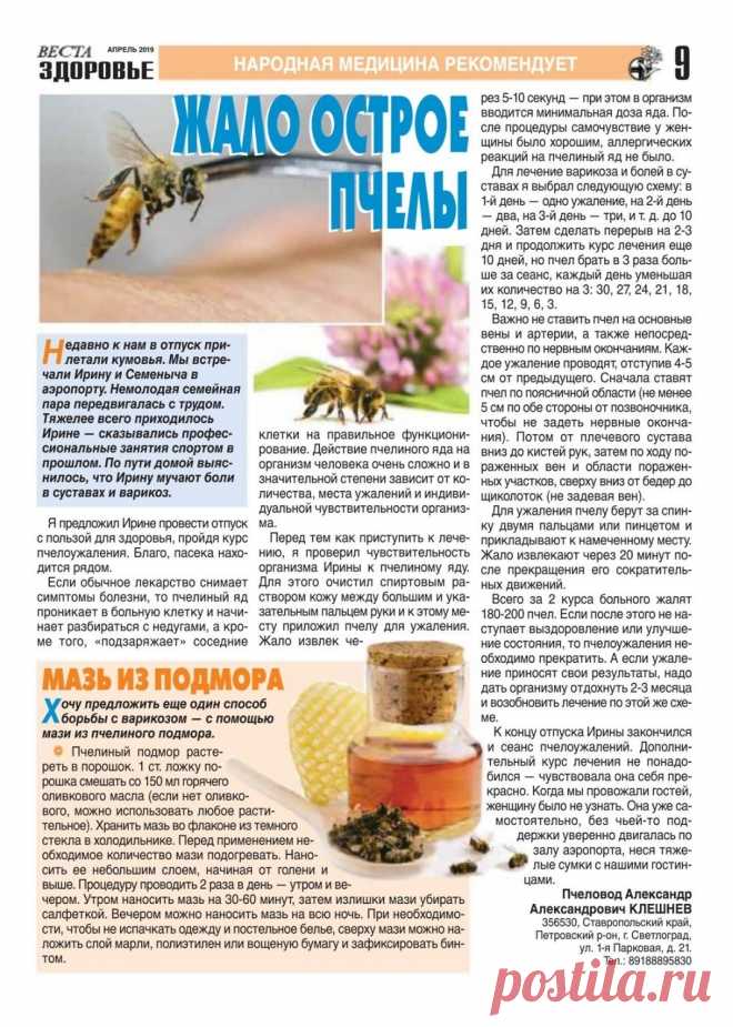 Пчелы лечат