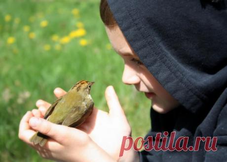 Будь добрым...