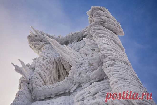9 фото словенской горы после экстремальной снежной вьюги