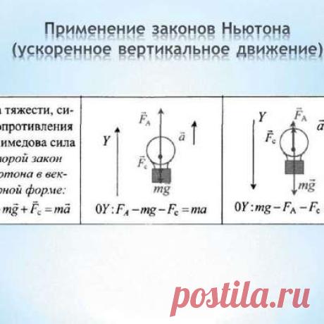 Учитель физики!