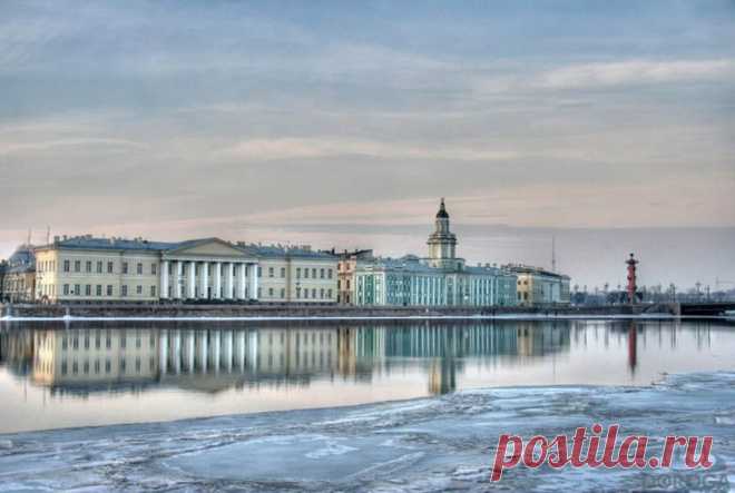 Кунсткамера в Санкт-Петербурге