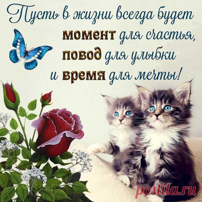 Настроения отличного,
Я тебе желаю.
Уютного и романтичного,
И себе я загадаю.
