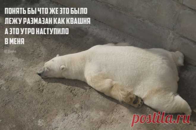 Стишки - порошки с картинками / Приколы