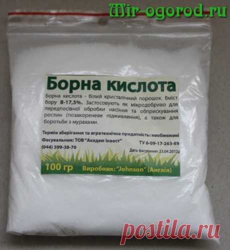 Борная кислота для перцев опрыскивание
