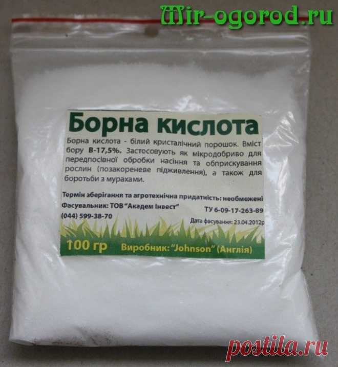 Борная кислота для перцев опрыскивание