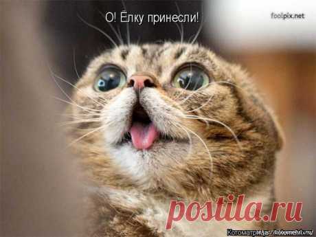 Ё МОЁ...