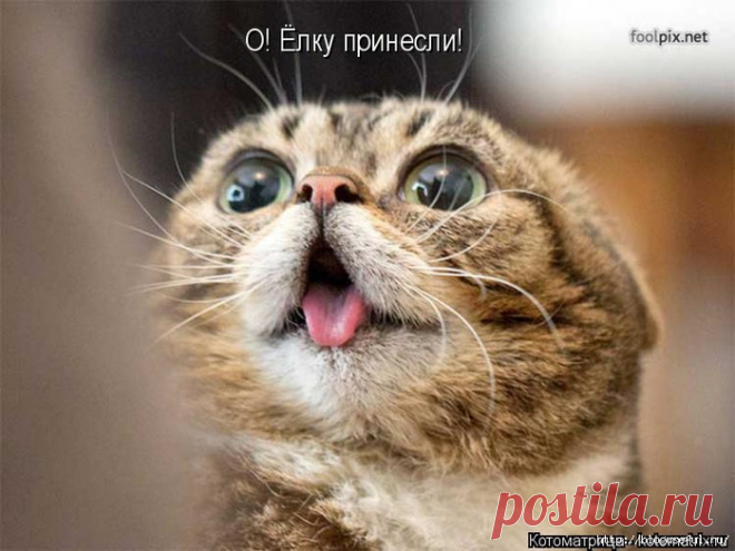 Ё МОЁ...
