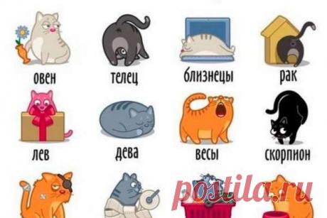 О 12-ти знаках Зодиака в стихах: Точность запредельная :) - Ok’ейно.plus okayno.plus