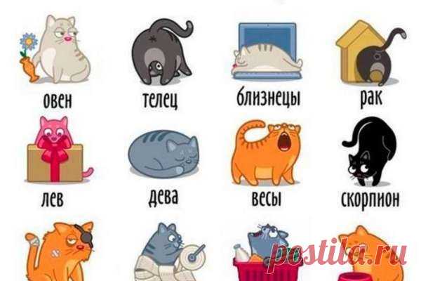 О 12-ти знаках Зодиака в стихах: Точность запредельная :) - Ok’ейно.plus okayno.plus