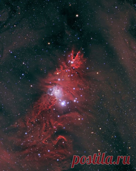 (73) Jean M Dean - Happy Christmas to family, friends and astro-buddies...