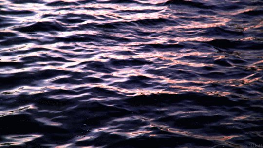 (7) Tumblr