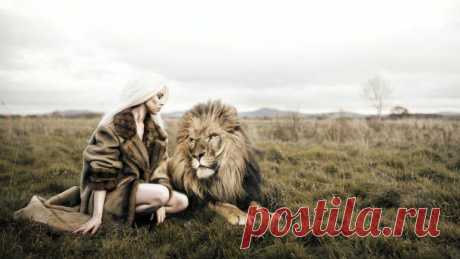 Знак Зодиака: ЛЕВ — Гороскоп на Сентябрь 2021 года
В этом месяце больше никаких компромиссов, время для настоящих приключений. Вы показываете свою лучшую сторону, чтобы воспользоваться определенными ситуациями. Проблема, однако, в том, что за маской прятаться не стоит. Соединение Солнца и Меркурия предоставит вам большие возможности для выполнения определенных планов. Однако не стоит сжигать за...
Читай дальше на сайте. Жми подробнее ➡