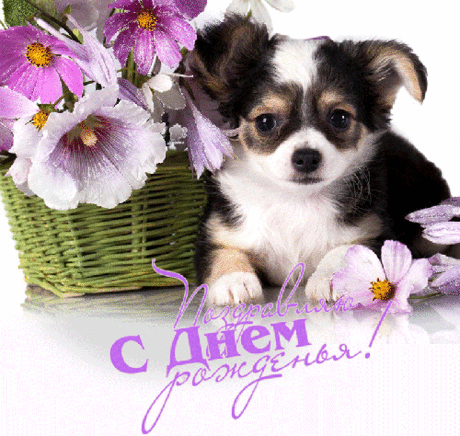 Благодарю за Поздравления!
