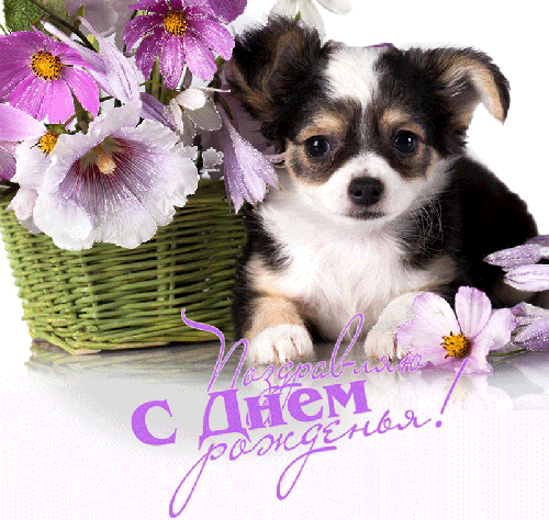 Благодарю за Поздравления!