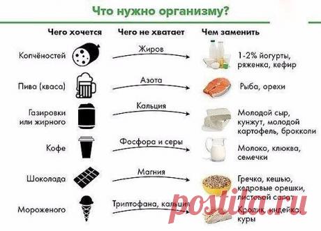 Что нужно организму, когда чего-то хочется?