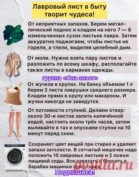 Лавровый лист