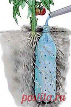 Простая система самополива.
Если вы надолго уезжаете с дачи и не имеете возможности обеспечить своевременный полив грядок — это система самополива для вас.