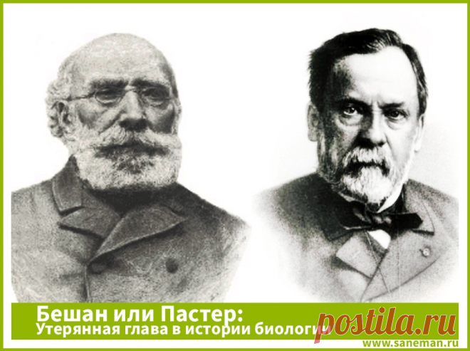 Бешан или Пастер? Утерянная глава в истории биологии Это видео раскрывает ложные предпосылки Луи Пастера, на которых построена вся современная медицина.