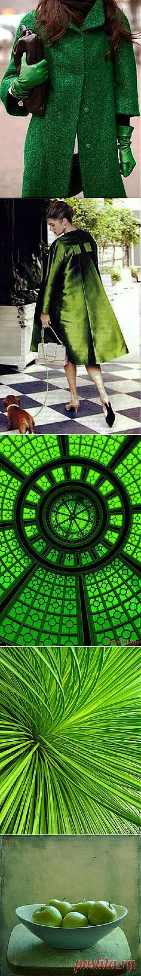 green web | Windows to the Soul