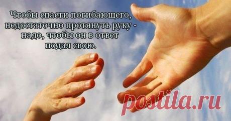 JW Коллекция правдивых ошеломляющих новостей о.