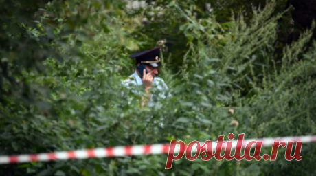 Обломки сбитого ночью в Подмосковье беспилотника нашли в Истре. Обломки сбитого ночью на подлёте к Москве БПЛА найдены в Истре и направлены на экспертизу. Читать далее