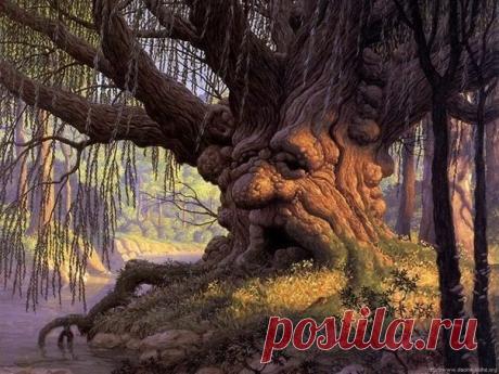 Лечение с помощью энергии деревьев   Существует такое понятие — дендротерапия, т. е. лечение с помощью энергии деревьев различ­ных пород, которое становится популярнее с каж­дым днем. И это не удивительно ведь целитель­ный эффект от такого лечения […]