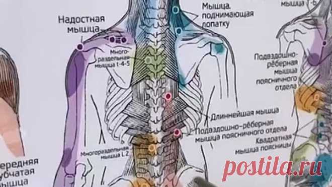 Новый комплекс упражнений от боли в пояснице (1)