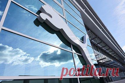 Спрогнозировано дальнейшее падение производства в лесопромышленном комплексе России