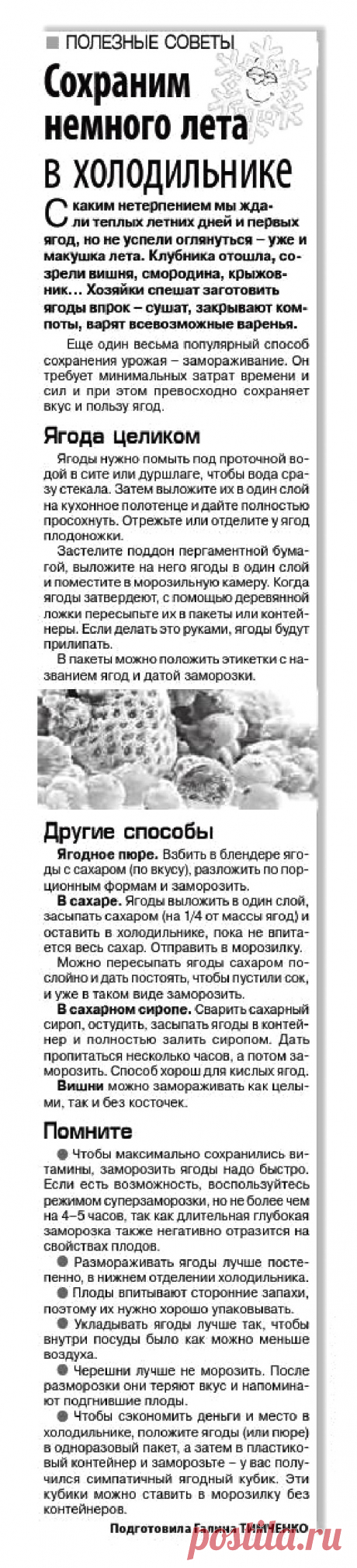 Заморозка ягод