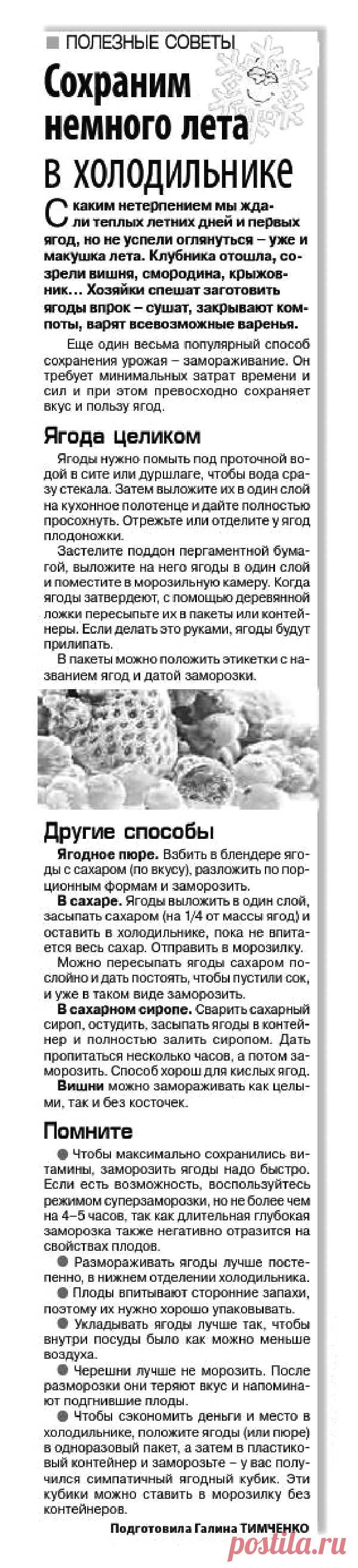 Заморозка ягод
