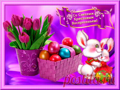 ПЛЕКАСТЫ, ВИДЕО!!: апреля 2015