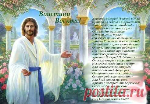 (5) Одноклассники