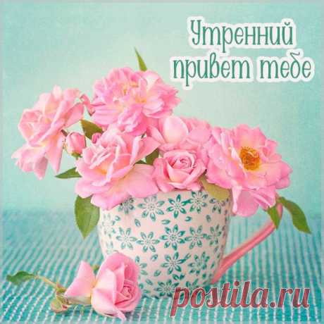 Утренний ПРИВЕТ тебе!