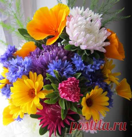 Для Вас! 🥰💙