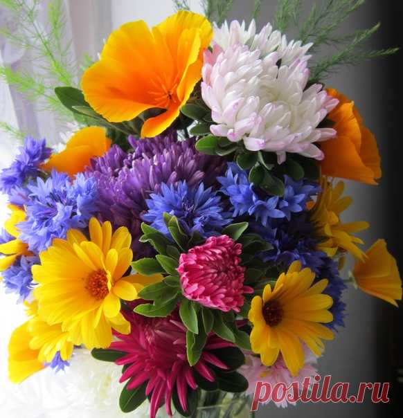 Для Вас! 🥰💙