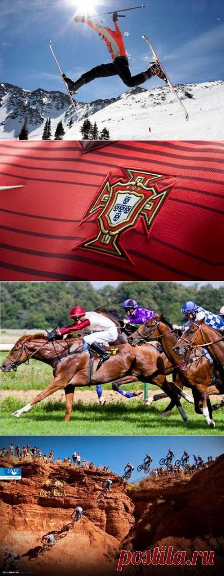 Парусный спорт, Дзюдо, Воздухоплавание, Подводный спорт. (1/1) - Спортивный форум. - Спортивный сайт